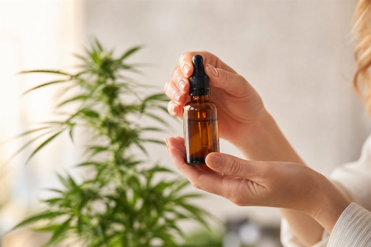 Como começar com cannabis medicinal